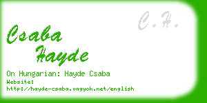 csaba hayde business card